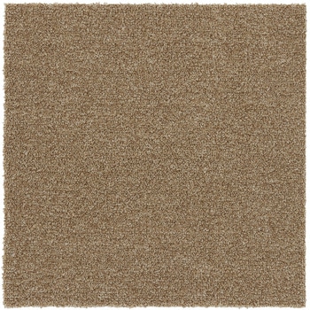 ソフトフィール スミノエ