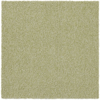 ソフトフィール スミノエ