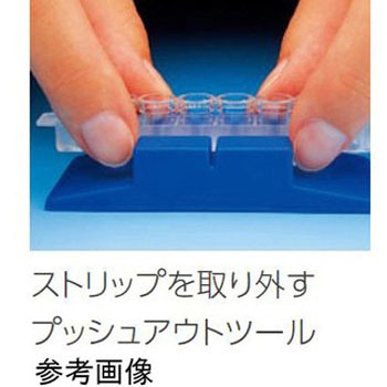 イムノブレイクアパートモジュールプレート Thermo Scientific Nalgene