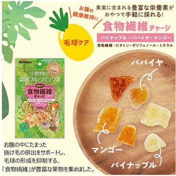 小動物の南国フルーツミックス 100g ドギーマン