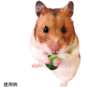 小動物のFDマルシェ ドギーマン