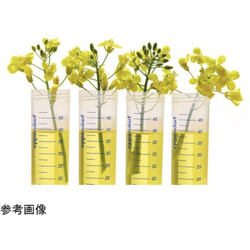 エッペンドルフチューブ BioBased スクリューキャップ Sterile Eppendorf(エッペンドルフ)