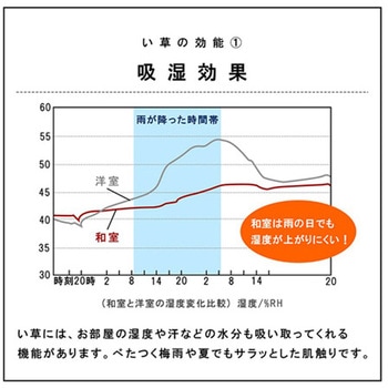 国産 い草 日本製 置き畳 ユニット畳 簡単 和室 イケヒコ・コーポレーション