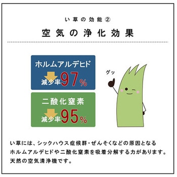 国産 い草 日本製 置き畳 ユニット畳 簡単 和室 イケヒコ・コーポレーション
