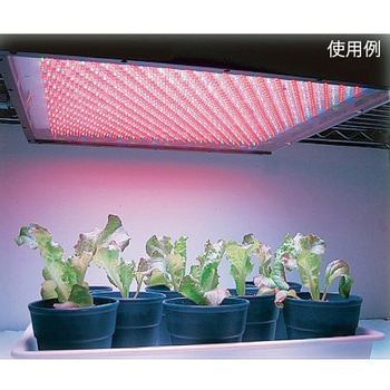 植物育成用LED照明ユニット ISL-150X150シリーズ CCS(シーシーエス)