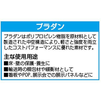 プラダン 5枚 910x910x4mm EA911BDシリーズ エスコ