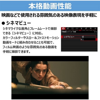 ミラーレスカメラ EOS R50V ダブルズームキット Canon