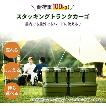 トランクカーゴ TC-50S 日本製 リス