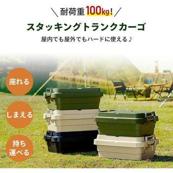 トランクカーゴ TC-50S 日本製 リス