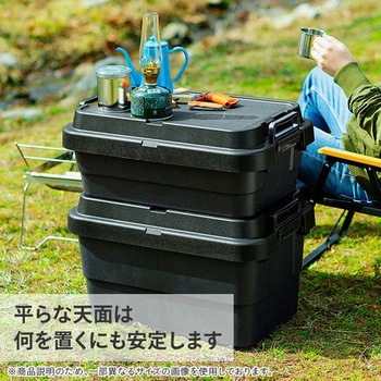 トランクカーゴ TC-50S 日本製 リス