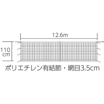 硬式テニスネット トーエイライト
