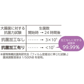 抗菌安全スノコ60×90 - トーエイライト