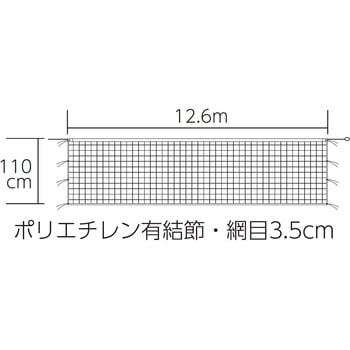 ソフトテニスネット トーエイライト