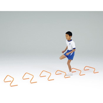 ステップハードル10 トーエイライト