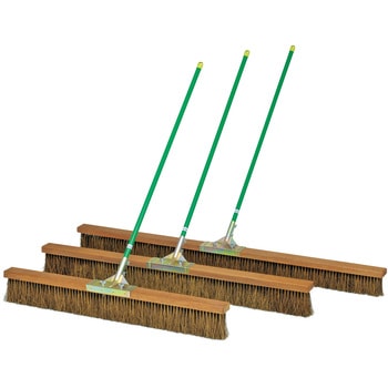 コートブラシシダ トーエイライト