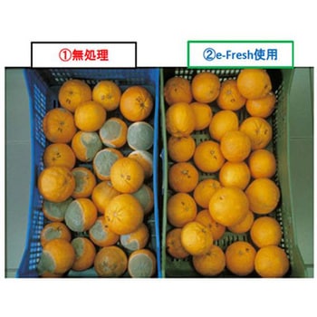 鮮度保持剤 eーfresh GK小袋 5g もりや産業