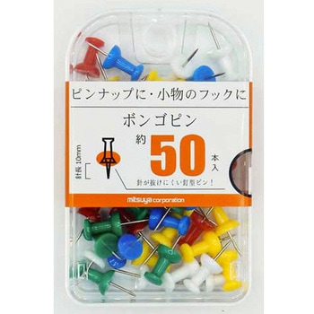 ボンゴピン ミツヤ
