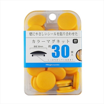 カラーマグネット ミツヤ
