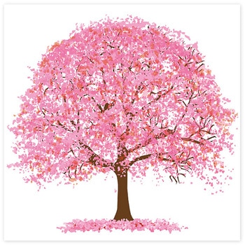 ウォールタペストリー 桜 アルファ(販促)
