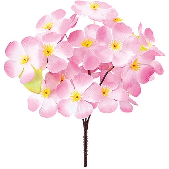 大桜ブッシュ アルファ(販促)