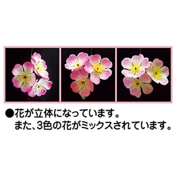 桜ガーランド(ミックス) アルファ(販促)