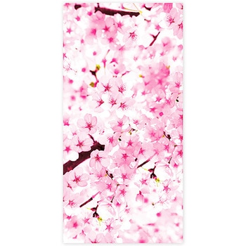 桜タペストリー(防炎加工) アルファ(販促)