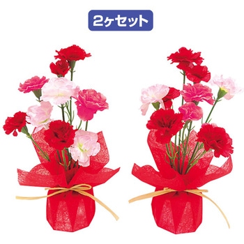 カーネーションペアラッピング アルファ(販促)