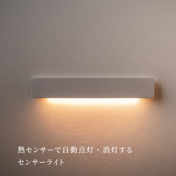 かげあかり01 むさし