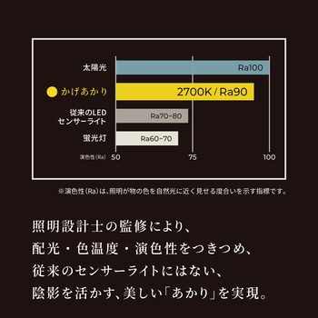 かげあかり01 むさし