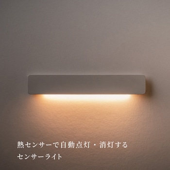 かげあかり01 むさし