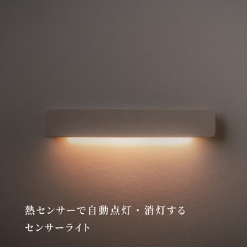 かげあかり01 むさし