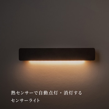 かげあかり01 むさし