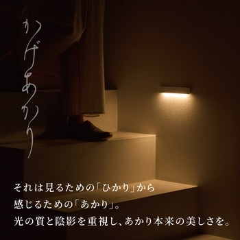 かげあかり01 むさし