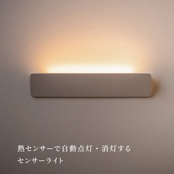 かげあかり02 むさし