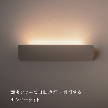 かげあかり02 むさし