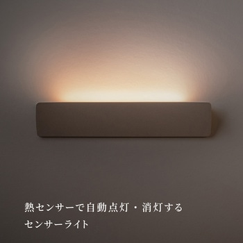 かげあかり02 むさし