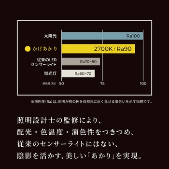 かげあかり02 むさし