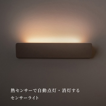 かげあかり02 むさし