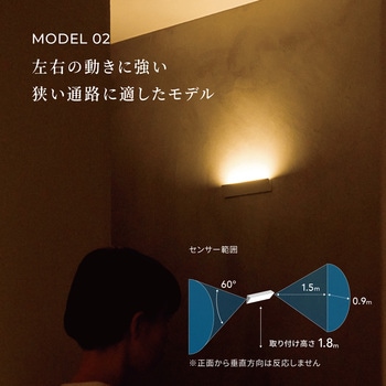 かげあかり02 むさし