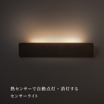 かげあかり02 むさし