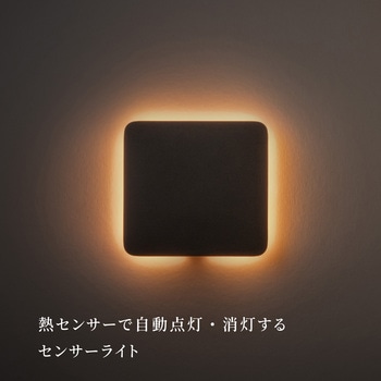 かげあかり03 むさし