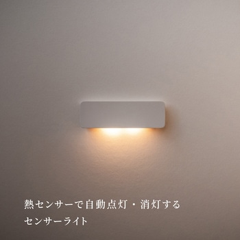 かげあかり04 むさし