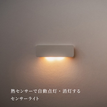 かげあかり04 むさし