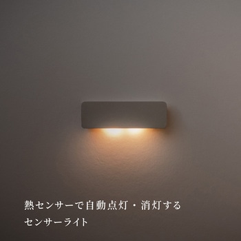 かげあかり04 むさし