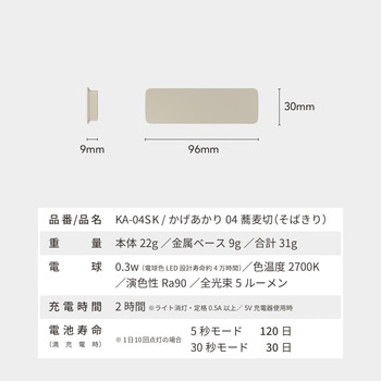 かげあかり04 むさし