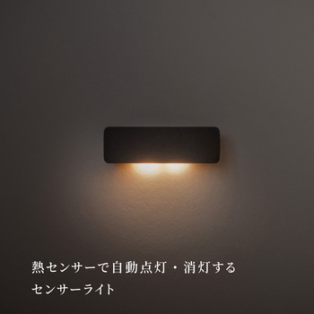 かげあかり04 むさし