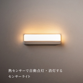 かげあかり05 むさし