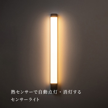 かげあかり06 むさし