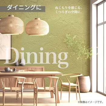 珪藻土PRO 生成 白 16kg PROST's