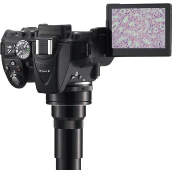 D5300K �j�R����჌�t�f�W�^���摜�V�X�e�� Nikon(�j�R��) 68297005